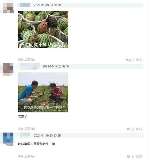 娱乐吃瓜大v,跟随大V吃瓜，揭秘明星幕后故事