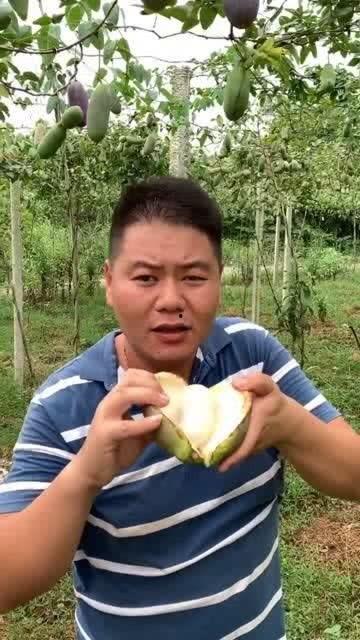 娱乐吃瓜酱大山里,娱乐吃瓜酱的神秘之旅