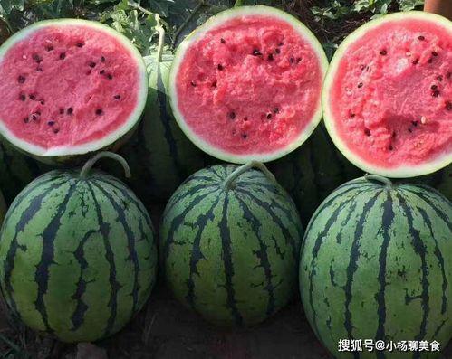 娱乐吃瓜酱不结婚的你,揭秘单身生活的独特魅力