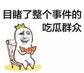 娱乐吃瓜君高情商,娱乐界的智慧解读