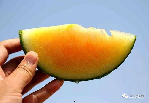 哪里可以吃娱乐圈瓜,揭秘明星们的幕后故事与幕后美食