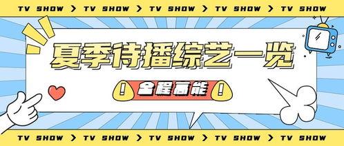 娱乐吃瓜营公众号,吃瓜营带你探秘明星生活点滴