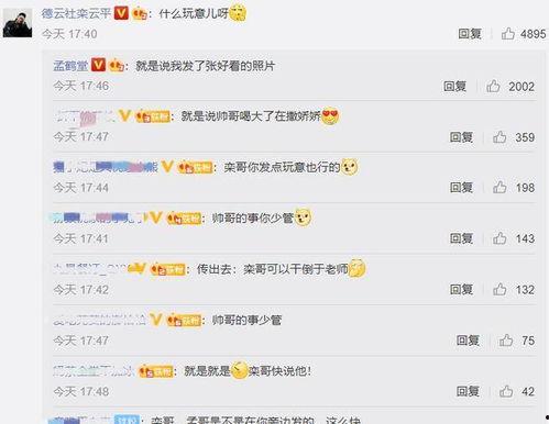 娱乐吃瓜798网址在线观看,独家在线观看盛宴