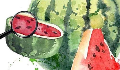 娱乐吃瓜场地是什么,探寻明星幕后故事的热门聚集地