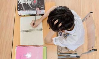 娱乐吃瓜酱学生,揭秘校园里的那些“瓜”