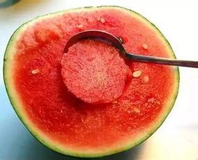 紫酱娱乐吃瓜,揭秘娱乐圈最新吃瓜事件，带你领略明星幕后故事