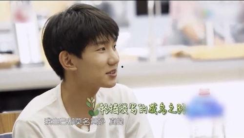 吃瓜娱乐王源完整版,揭秘明星幕后趣事