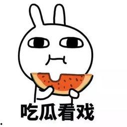 娱乐吃瓜酱当你纠结时,娱乐吃瓜酱教你轻松化解