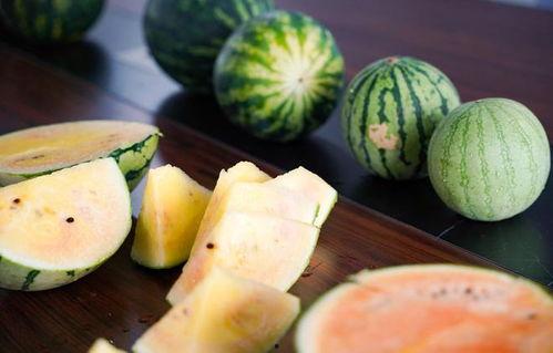 浙江娱乐吃瓜君